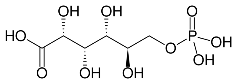 File:6-phosphogluconate.svg