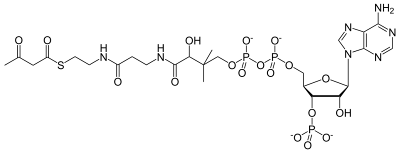 文件:Acetoacetyl coenzyme A.svg
