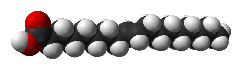 File:Elaidic-acid-from-xtal-3D-vdW.png