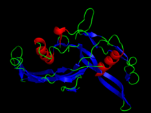 Peptide hormones - 2ARV.png