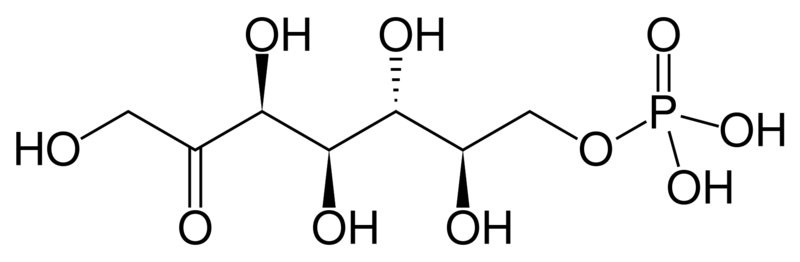 文件:Sedoheptulose 7-phosphate.svg