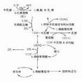 于2010年6月4日 (五) 15:55的缩图版本