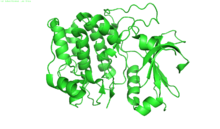 Crystal structure of Akt-1-inhibitor complexes.png