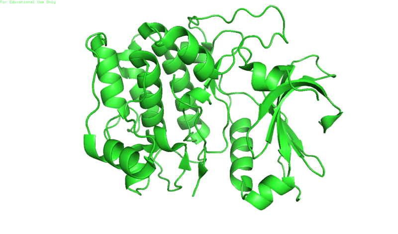 File:Crystal structure of Akt-1-inhibitor complexes.png