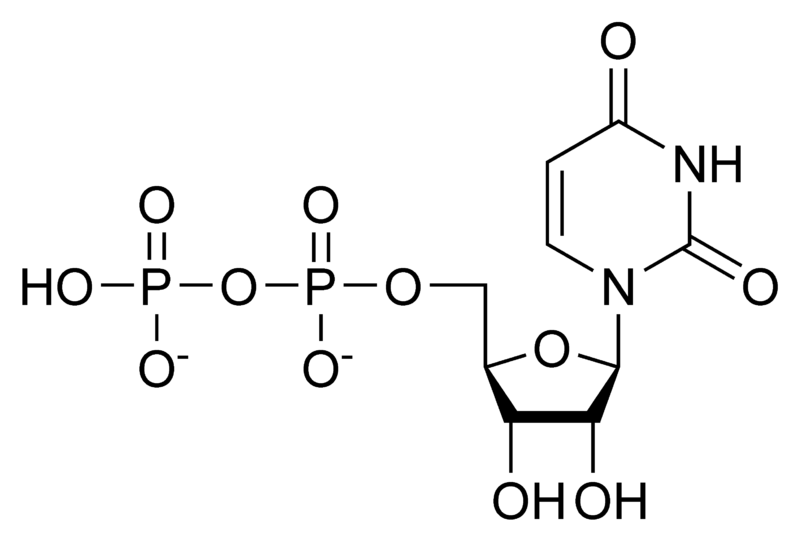 文件:UDP chemical structure.png
