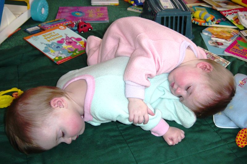 File:Being a twin means you always have a pillow or blanket handy.jpg