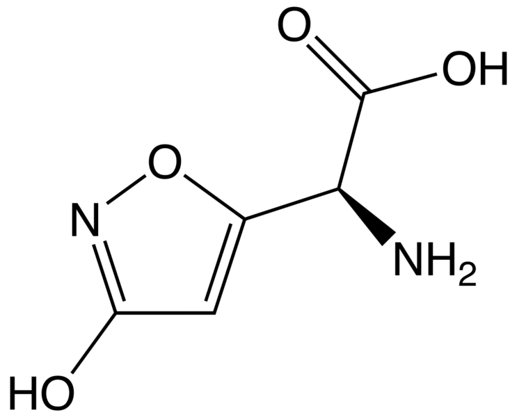 文件:Ibotenic acid2.png