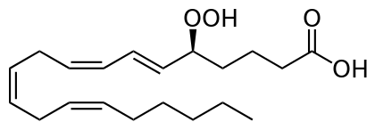 文件:5-Hydroperoxyeicosatetraenoic acid.svg