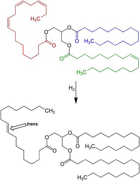 File:Triglyceride Hydrogenation&Isomerization V.1.png