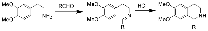 File:Pictet-Spengler Isoquinoline Synthesis Scheme.png