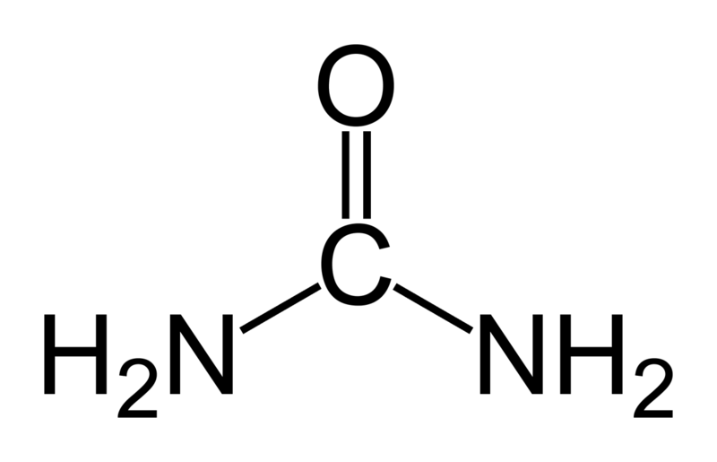 文件:Urea.png