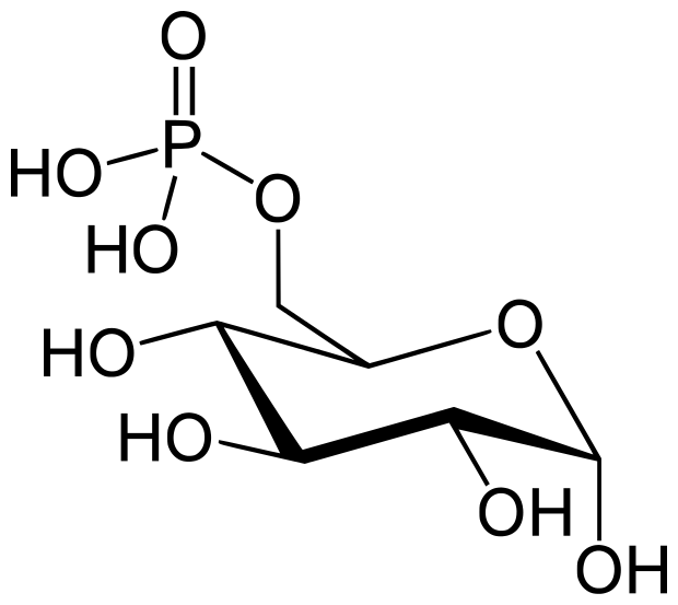 文件:Glucose-6-Phosphate.svg