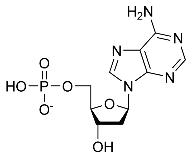 文件:DAMP chemical structure.png