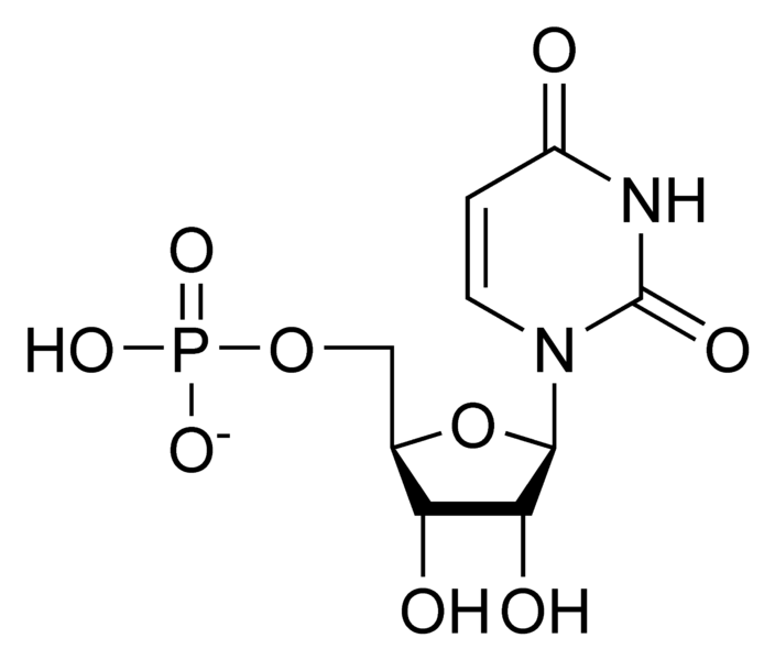 文件:UMP chemical structure.png