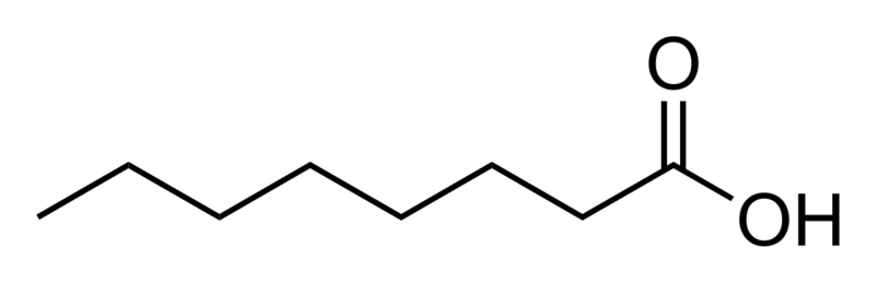 File:Caprylic acid.svg