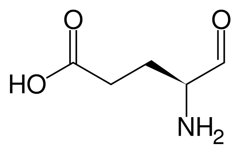 文件:Glutamate-1-semialdehyde.svg