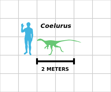 文件:Coelurus size estimate chart.svg