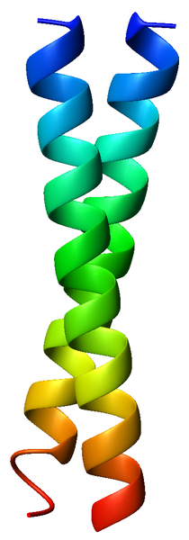 File:GCN4 coiled coil dimer 1zik rainbow.png