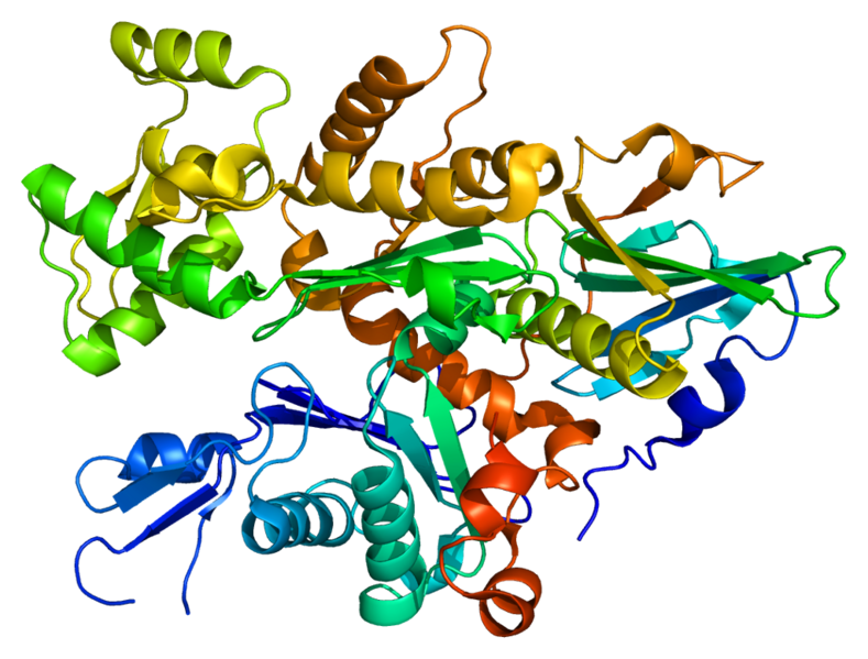 文件:Protein GSN PDB 1c0f.png