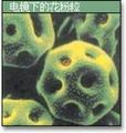 於2010年6月4日 (五) 16:31的縮圖版本