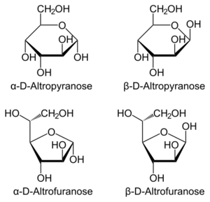 多種形式D-阿卓糖的哈沃斯透視式。