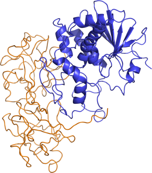 File:Ricin structure.png