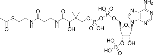 文件:Acetyl-CoA-2D.svg