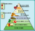 於2011年1月12日 (三) 01:26的縮圖版本